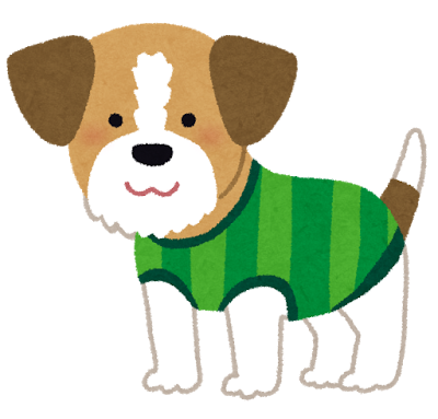 服を着た犬