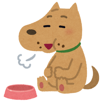 ご飯を食べる犬