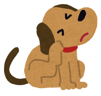 痒い犬